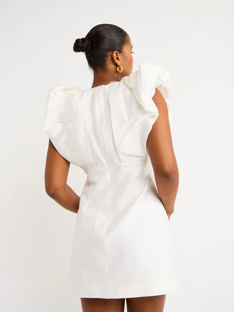 Denare Mini (6) (Selling)