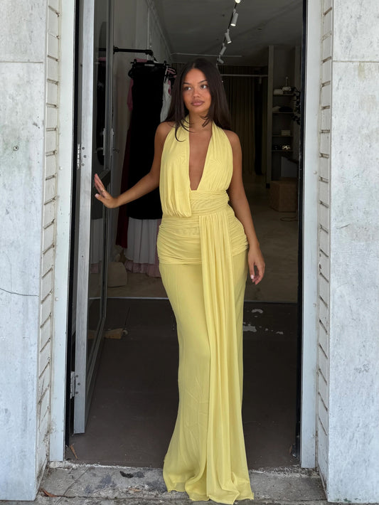 Cassis Maxi (Yellow)